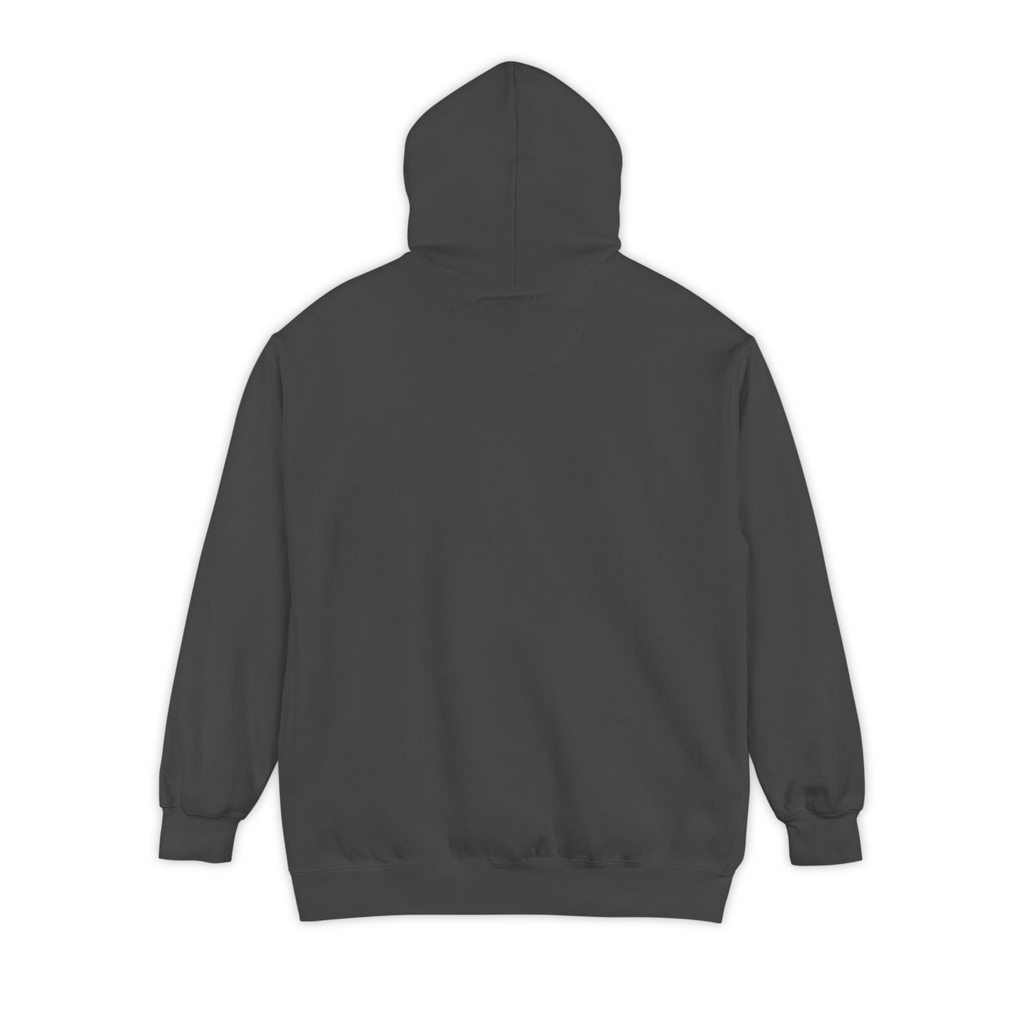 Be Kinder — Comfort Colors Friendship Hoodie