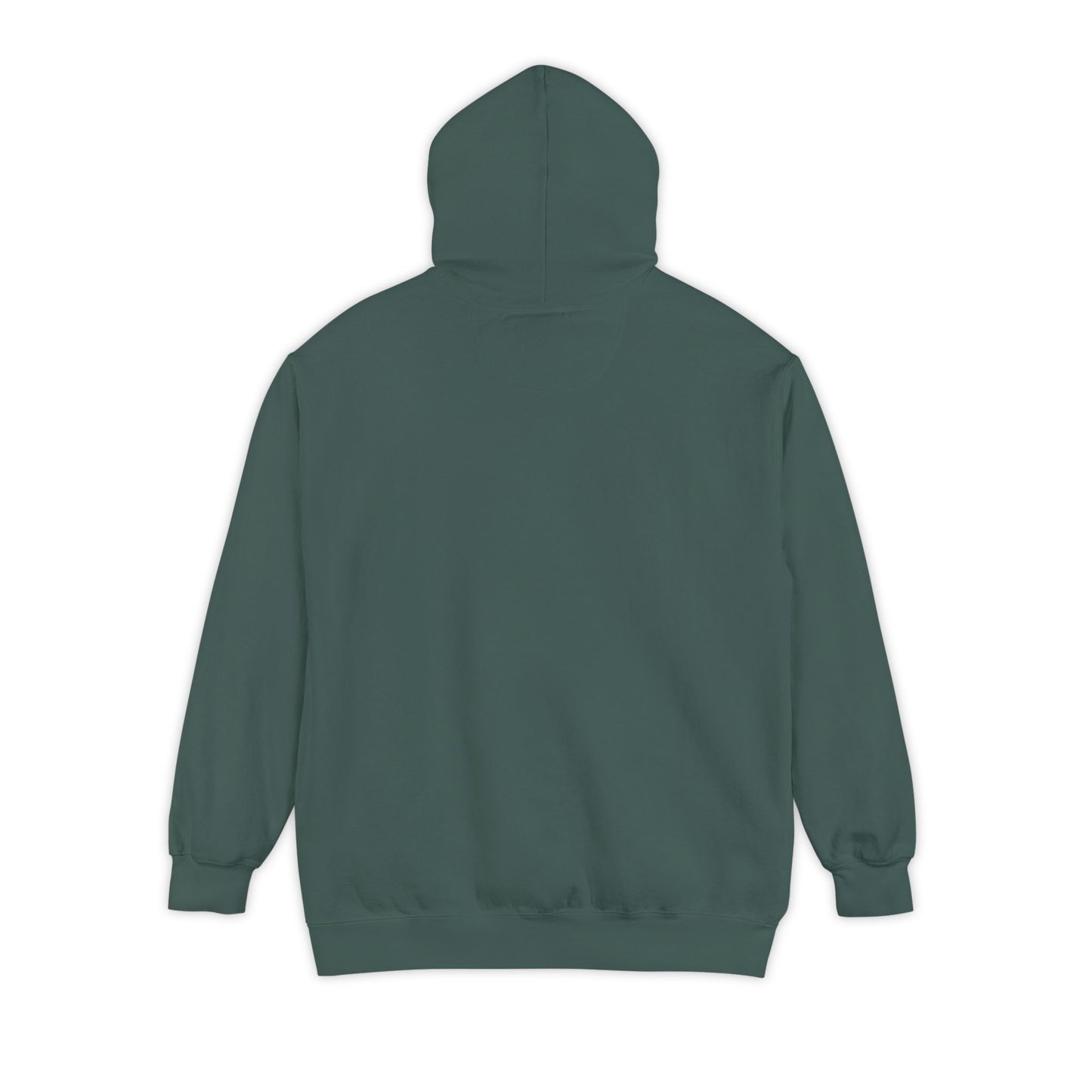 Coffee Makes Me Slightly More Delightful — Comfort Colors Hoodie